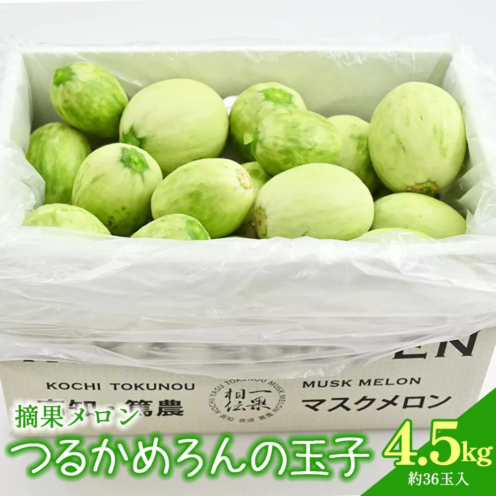 つるかめろんの玉子(摘果メロン) 4.5kg 約36玉 - マスクメロン めろん フルーツ くだもの 果物 おやつ おつまみ アレンジ 料理 お漬物 お漬け物 炒め物 天ぷら 子メロン 小さい 産地直送 篤農 tn-0016