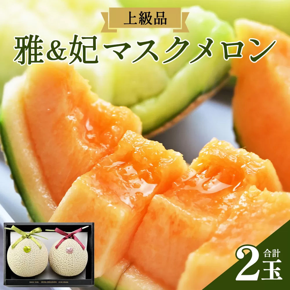 [上級品]雅&妃 マスクメロン 各1玉(合計2玉) - 青肉メロン 赤肉メロン セット めろん フルーツ くだもの 果物 完熟 おやつ 化粧箱入り ご褒美 果肉 果汁 ジューシー 果実 甘い 糖度 産地直送 篤農 tn-0027