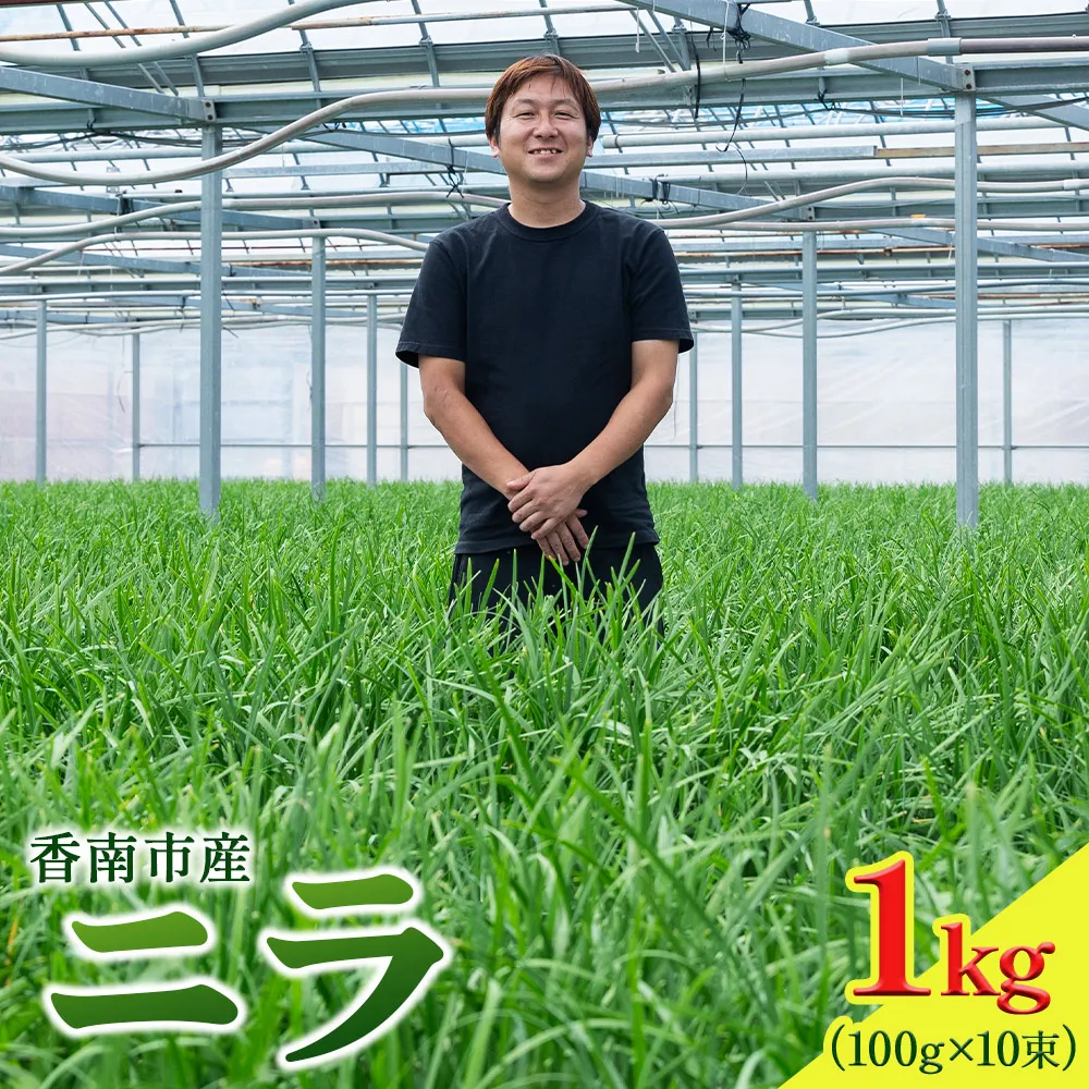 ニラ 生産量日本一 香南市産のニラ 1kg(100g×10束)- にら 韮 生 野菜 やさい 香味野菜 葉物 新鮮 料理 アレンジ 炒めもの 炒め物 煮物 鍋 なべ もつ鍋 産地直送 国産 公文農園 高知県 kk-0001