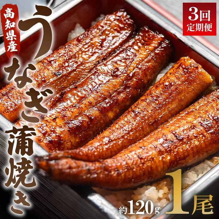 うなぎ 定期便 3回 うなぎ蒲焼き120g 1尾(無頭) 魚介 国産 海鮮 魚 かばやき 鰻 ウナギ 惣菜 おかず お手軽 加工品 加工食品 冷凍 Wun-0020