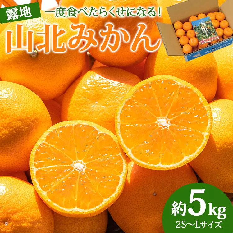 【令和8年10月下旬発送開始】山北みかん 約5kg（露地栽培 2S〜Lサイズ）一度食べたらくせになる！みかん ミカン 蜜柑 常温みかん ブランドみかん 果物 フルーツ 産地直送 高知県産 JA高知 常温 ku-0053
