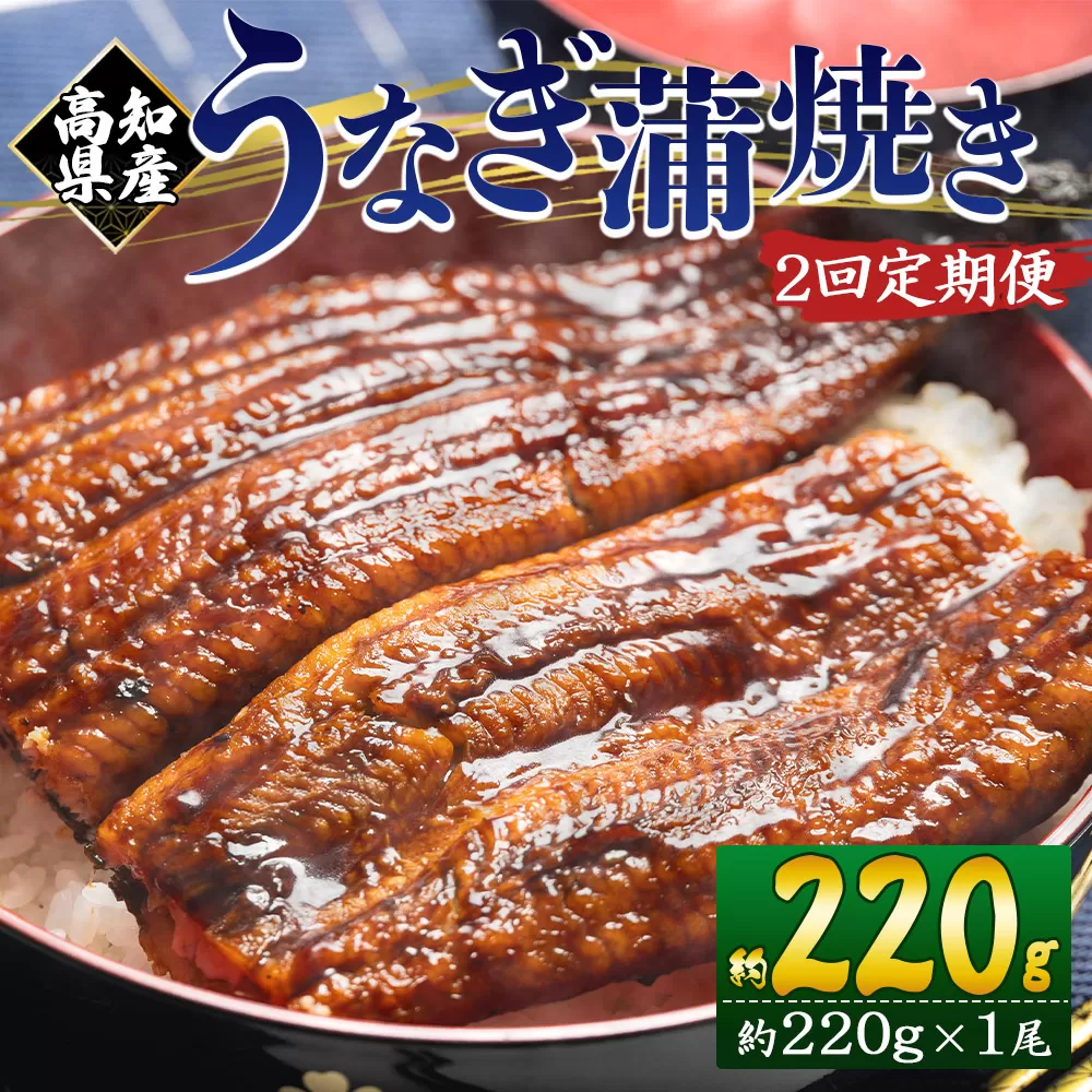 【２回定期便】高知県産養殖うなぎ蒲焼き 約220g×１尾 うなぎ 魚介 国産 海鮮 魚 かばやき 鰻 ウナギ 惣菜 おかず お手軽 加工品 加工食品 冷凍 Wfb-0057