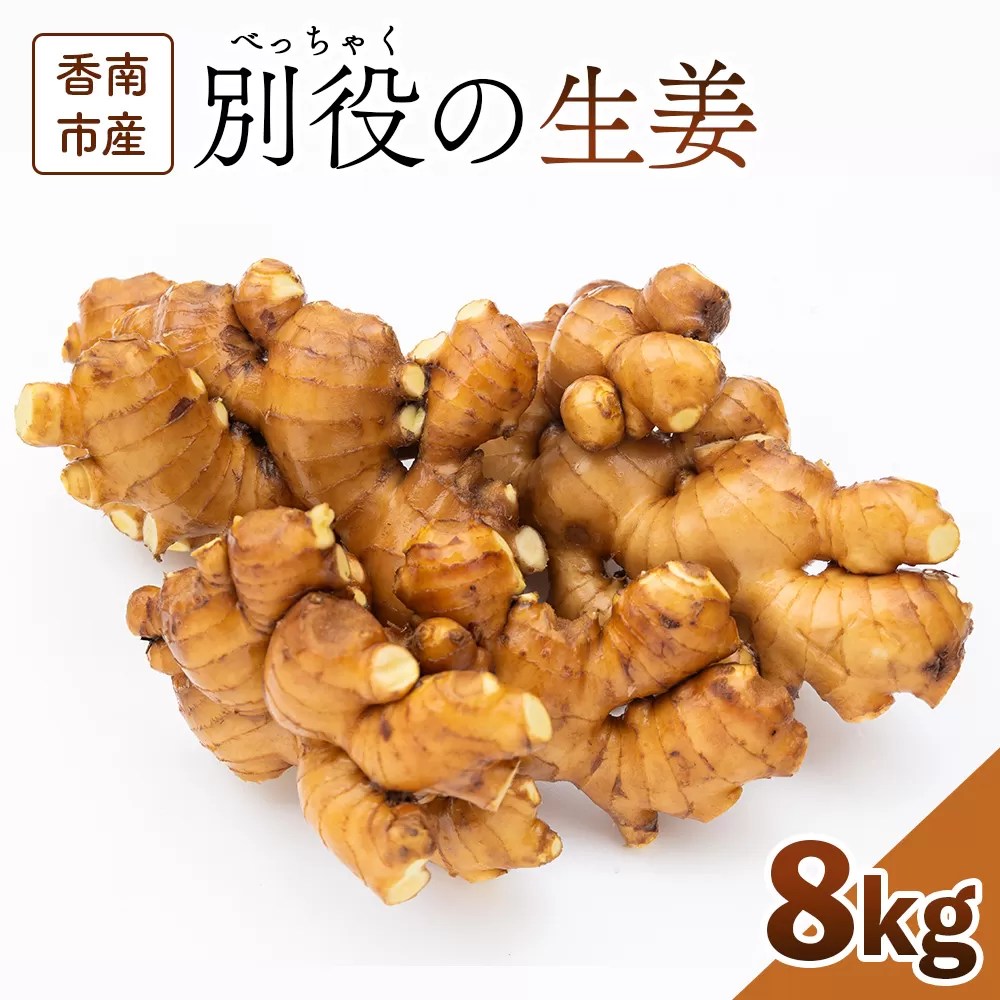 香南市産 別役の生姜 8kg - しょうが ショウガ ジンジャー 薬味 調味料 国産 株式会社べっちゃく 高知県 香南市 bc-0016