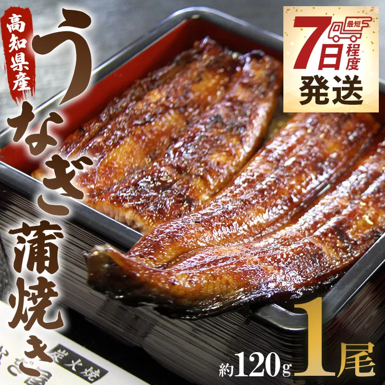 [7日程度で発送]うなぎ屋きた本 うなぎ蒲焼き 1尾(約120g)(無頭)- 送料無料 鰻 ウナギ スタミナ 晩ご飯 おつまみ 丼ぶり 魚 ギフト お取り寄せグルメ プレゼント 海の幸 ギフト うなぎ屋きた本 高知県 香南市 冷凍 un-0013