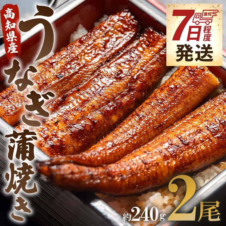 [7日程度で発送]うなぎ屋きた本 うなぎ蒲焼き 2尾(合計約240g)(無頭) - 送料無料 鰻 ウナギ 晩御飯 おかず おつまみ アテ スタミナ プレゼント ギフト 贈答 丑の日 父の日 敬老の日 うなぎ屋きた本 高知県 香南市 冷凍 un-0014
