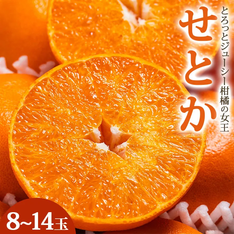 【令和9年2月発送開始】とろっとジューシー柑橘の女王 せとか 約3kg（8〜14玉）- 秀品・丸秀品混合 果物 果実 くだもの フルーツ オレンジ ミカン 蜜柑 みかん 先行予約 受付中 期間限定 季節限定 熨斗 のし対応可 贈答 贈り物 おくりもの ギフト プレゼント 高知県 香南市 常温 果汁 ジューシー みずみずしい 濃厚 のうこう おいしい 糖度 甘い あまい 贈答 お祝い お礼 内祝い おとりよせ お取り寄せ 特産品 国産 旬 セトカ ご褒美 ごほうび 高知県 香南市 ku-0057