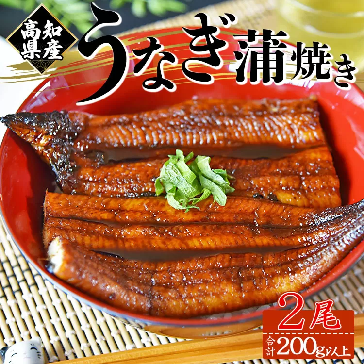 [大人気!]高知県産養殖うなぎ蒲焼き 2尾(合計200g以上) - 鰻 ウナギ 養殖 かばやき タレ付き たれ おつまみ スタミナ 土用の丑の日 うな丼 うな重 丼ぶり どんぶり 一品 おかず 美味しい おいしい 贅沢 ぜいたく 料理 アレンジ ひつまぶし 魚介 肴 さかな 夕食 夕飯 朝食 ご飯のお供 ごはん おとりよせ お取り寄せ グルメ パック お祝い 御祝い 御礼 お礼 記念日 ご褒美 ごほうび 化粧箱 贈答用 贈答品 贈り物 プレゼント ギフト 内祝い 国産 高知県 香南市 冷凍 fb-0142