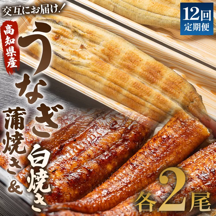 うなぎ 定期便 12回 うなぎ蒲焼き&白焼き120g 2尾(無頭)　交互にお届け 魚介 国産 海鮮 魚 かばやき 鰻 ウナギ 惣菜 おかず お手軽 加工品 加工食品 冷凍 しらやき セット 食べ比べ Wun-0050