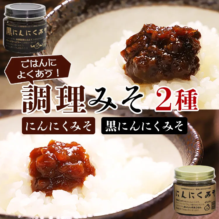 南国農家 ごはんによくあう！調理みそ2種（にんにくみそ、黒にんにくみそ）ng-0006