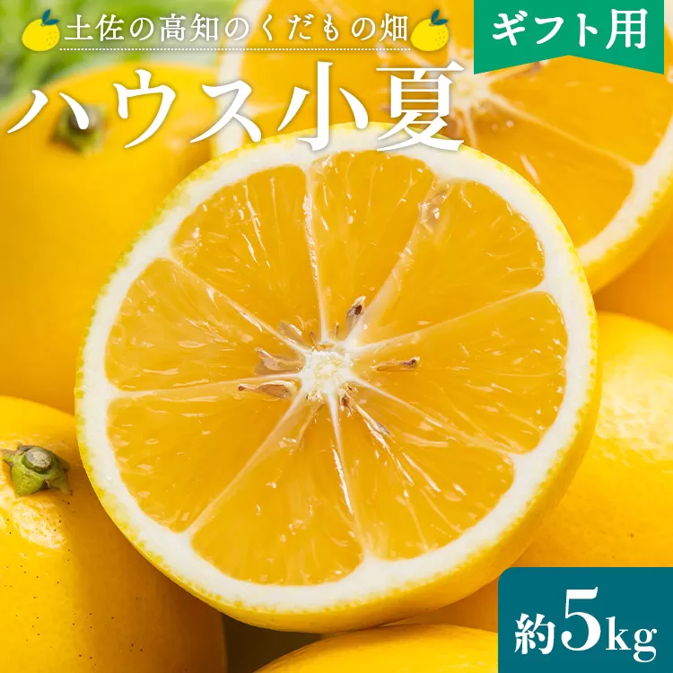 【2026年出荷分 先行予約】ハウス小夏 約5kg（ギフト用）- 日向夏 ニューサマーオレンジ 柑橘 果物 くだもの フルーツ こなつ おいしい 国産 贈答用 お礼 御礼 感謝 果汁 甘い 瑞々しい みずみずしい フレッシュ 爽やか さわやか 国産 送料無料 土佐の高知のくだもの畑 高知県 香南市 kd-0032