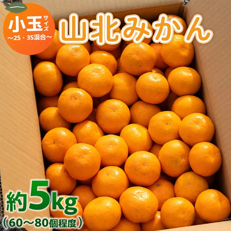 山北みかん 小玉サイズ 2S・3S混合 約5kg(60〜80個程度) 山北みらい - 果物 フルーツ 柑橘類 温州みかん ミカン 蜜柑 甘い おいしい 美味しい 高知県 香南市 yk-0044