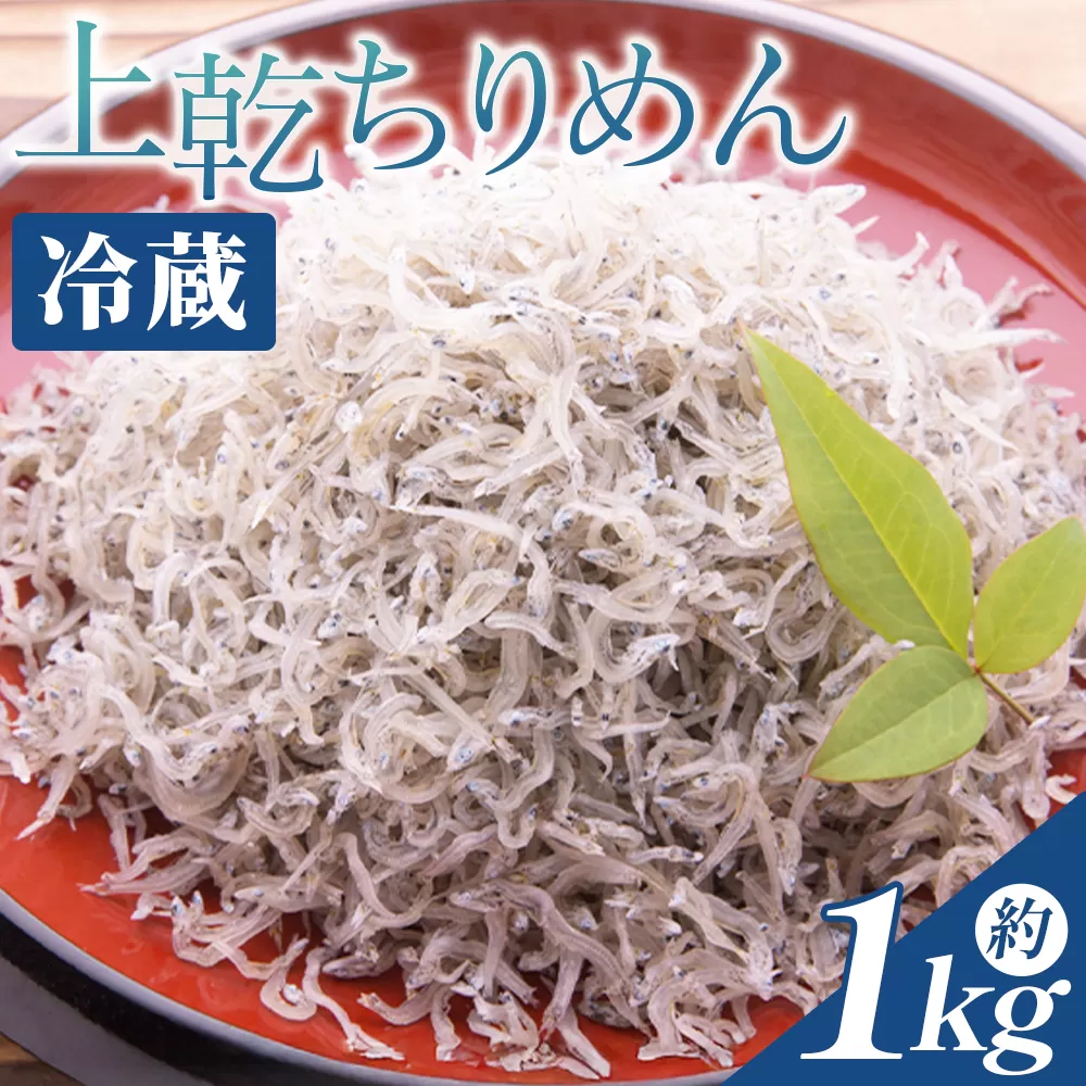【冷蔵】上乾ちりめん 約1kg - 国産 ちりめん しらす シラス 稚魚 魚介 魚 海産物 天日干し 釜茹で ドロメ サラダ 和え物 アレンジ 料理 ご飯のお供 三浦屋海産 高知県 香南市 冷蔵 mu-0015