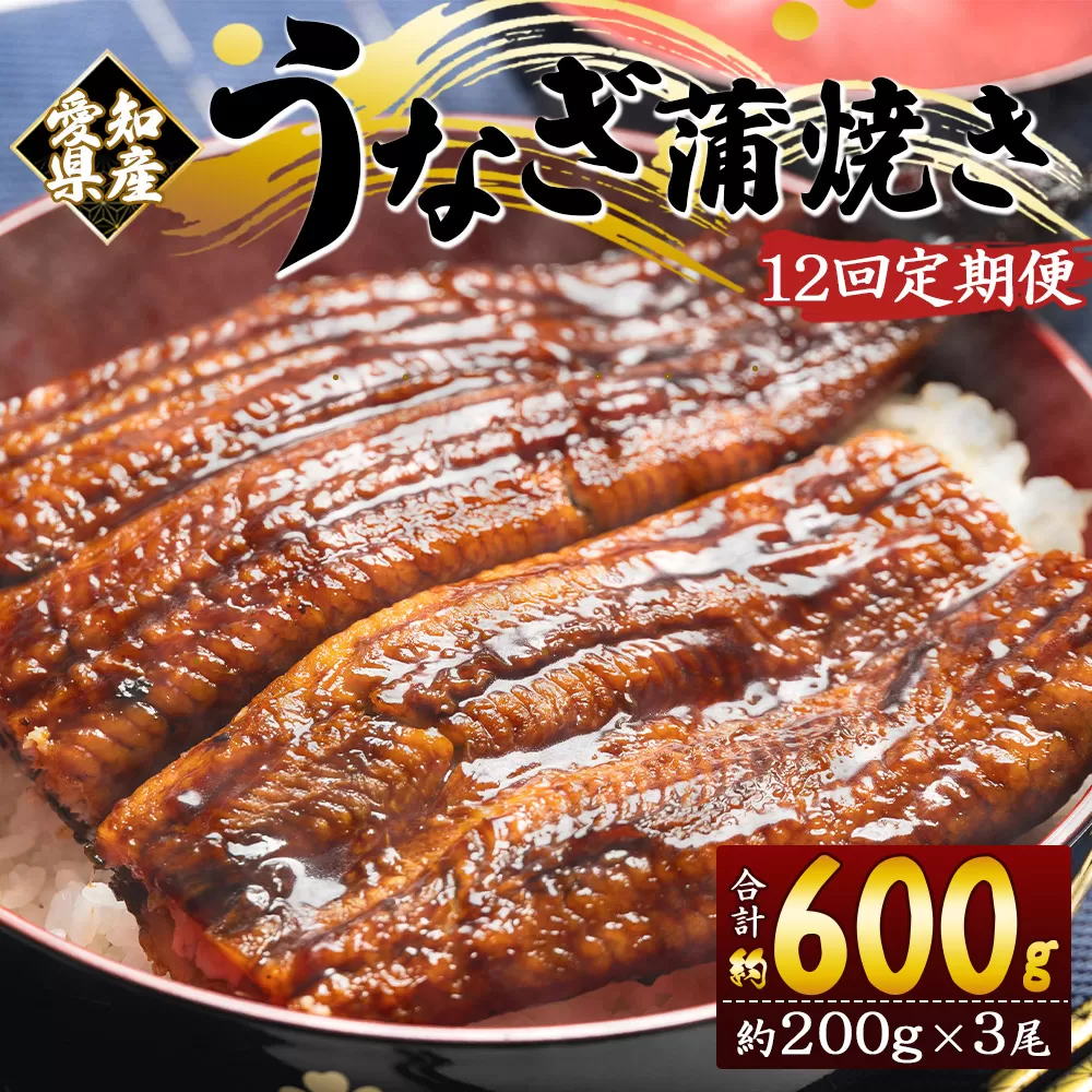 【12回定期便】国産養殖うなぎ蒲焼き 約200g×3尾(愛知県産鰻) うなぎ 魚介 国産 海鮮 魚 かばやき 鰻 ウナギ 惣菜 おかず お手軽 加工品 加工食品 冷凍 Wfb-0080