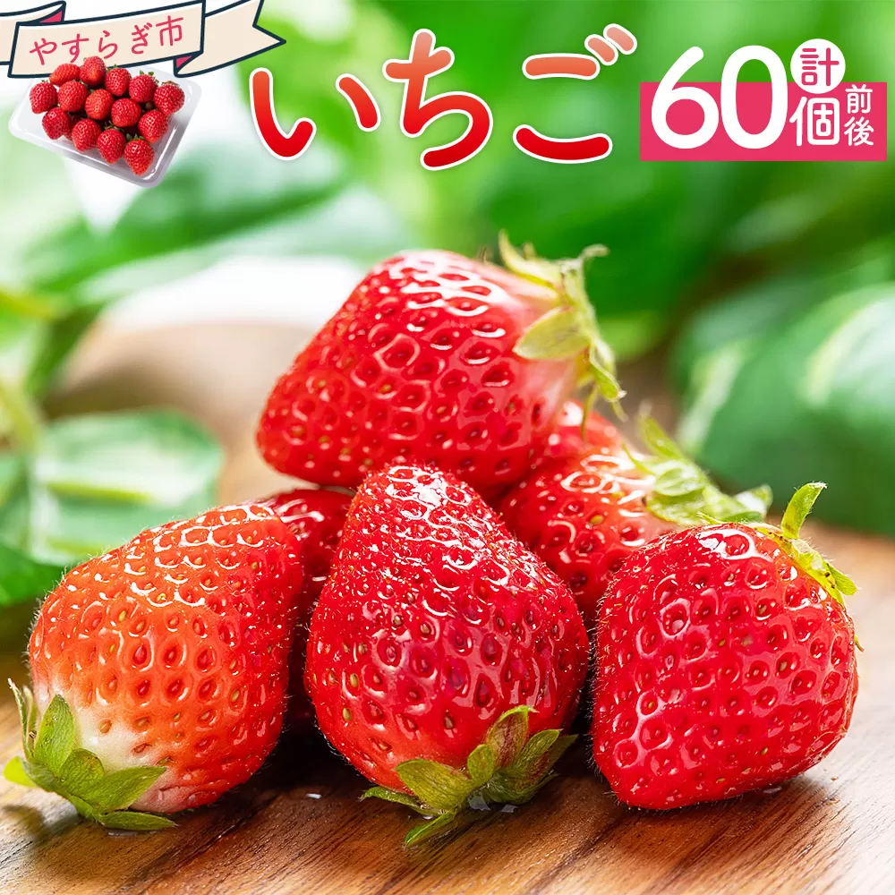 いちご 4パック(各パック15〜18個) 計60個程度 - いちご イチゴ 苺 ストロベリー 青果 果物 採れたて 新鮮 フルーツ あまえくぼ さちのか 紅ほっぺ べにほっぺ やすらぎ市 高知県 香南市 冷蔵 yr-0054