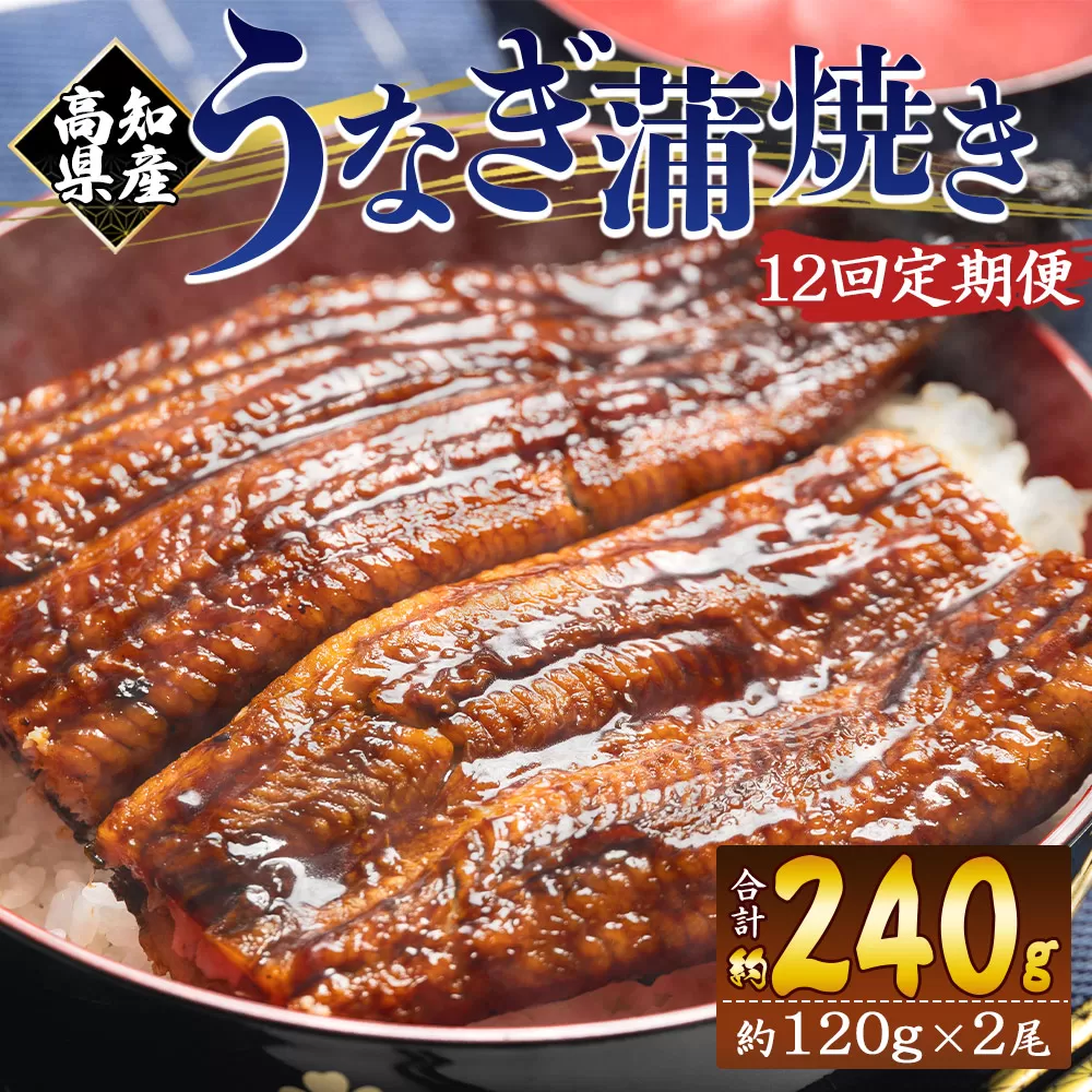 【１２回定期便】高知県産養殖うなぎ蒲焼き 100〜120g 2尾 うなぎ 魚介 国産 海鮮 魚 かばやき 鰻 ウナギ 惣菜 おかず お手軽 加工品 加工食品 冷凍 Wfb-0040