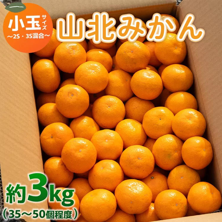 山北みかん 小玉サイズ(2S,3Sサイズ) 3kg 約35〜50個入り - 果物 フルーツ 柑橘類 温州みかん ミカン 蜜柑 甘い おいしい 美味しい 山北みらい 高知県 香南市 yk-0048