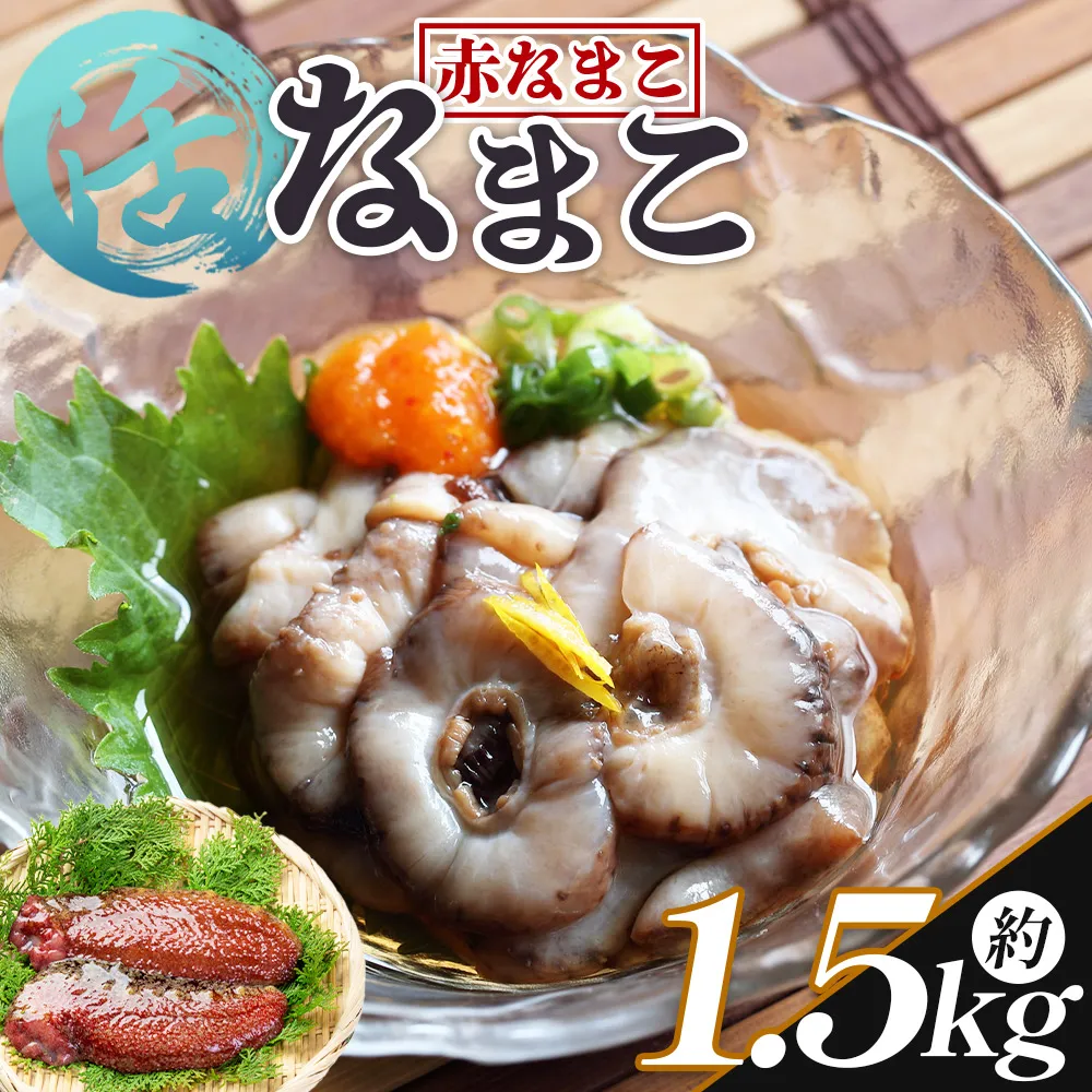 活ナマコ 1.5kg 赤ナマコ - 国産 産地直送 赤なまこ なまこ ナマコ 海鼠 海産物 海鮮 魚介類 刺身 刺し身 炒め物 塩辛 このわた えび蔵 高知県 香南市 冷蔵 eb-0051