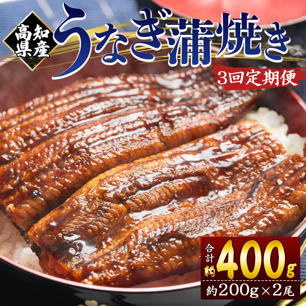 【3回定期便】高知県産養殖うなぎ蒲焼き 約200g×2尾 うなぎ 魚介 国産 海鮮 魚 かばやき 鰻 ウナギ 惣菜 おかず お手軽 加工品 加工食品 冷凍 Wfb-0050