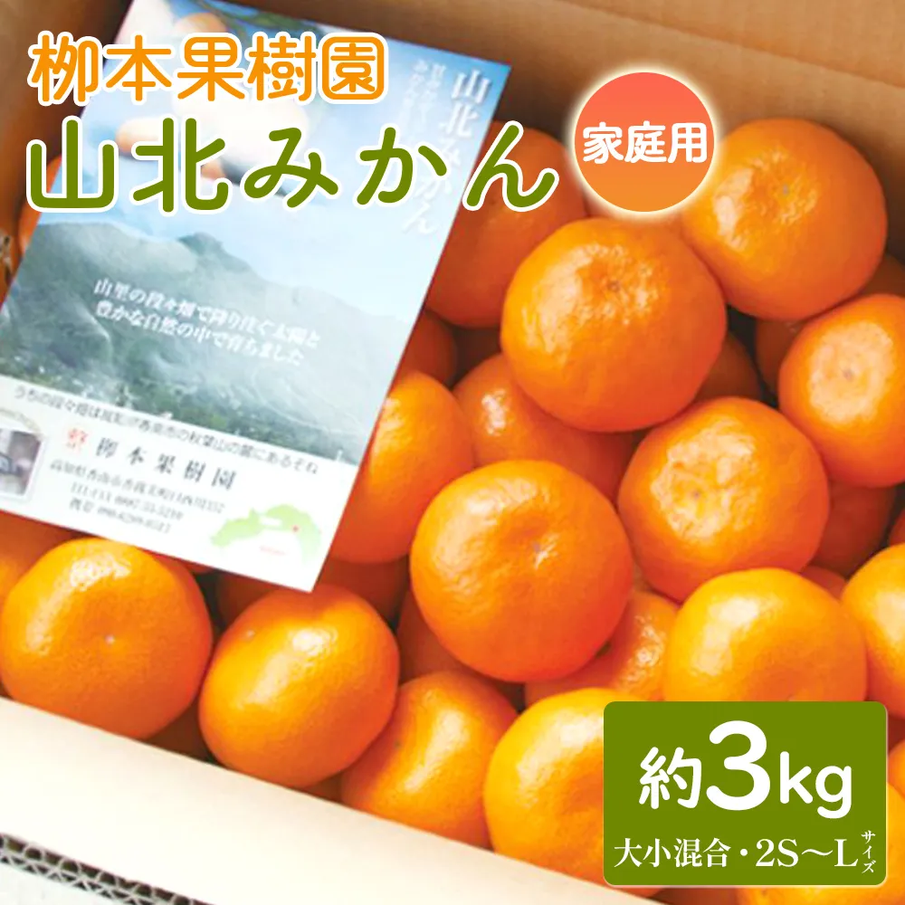 【先行予約】家庭用 柳本果樹園の山北みかん 3kg 大小混合(2S～L) - 果物 フルーツ 柑橘類 温州みかん ミカン 蜜柑 甘い おいしい 訳あり キズ 大小混合 期間限定 季節限定 数量限定 高知県 香南市 yg-0034