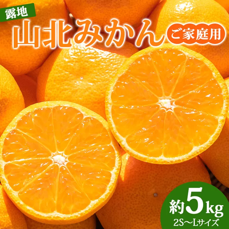 [令和8年10月下旬発送開始]山北みかん 約5kg(家庭用・露地)- 果物 フルーツ 温州みかん ミカン 柑橘 おいしい 甘い 送料無料 高知県 香南市 常温ku-0054