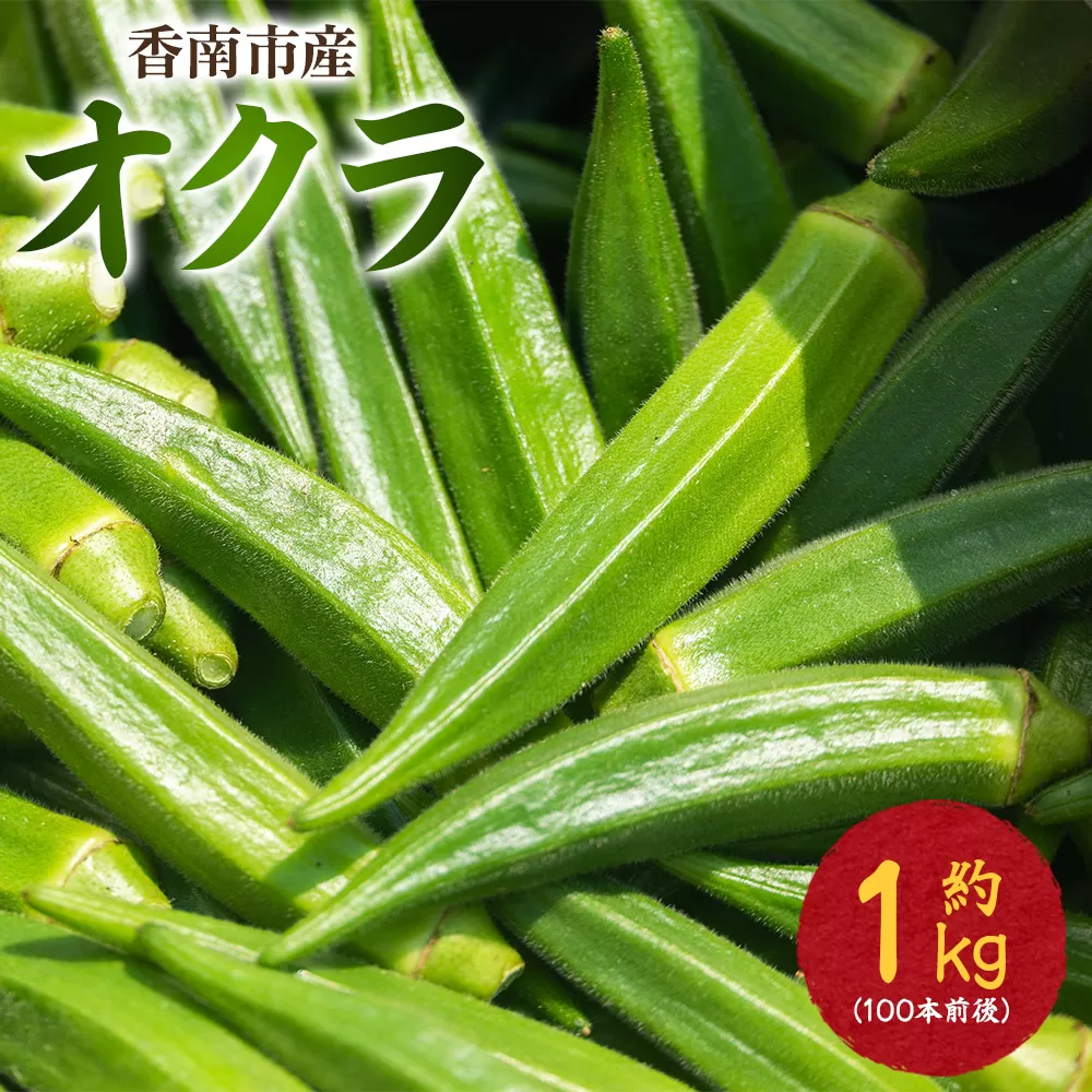 【2026年発送分】オクラ1kg(100本前後) - おくら 野菜 やさい 新鮮 朝どれ 朝採れ 朝収穫 季節 旬 露地栽培 国産 香南市産 おきゃんぴー農園 高知県 香南市 冷蔵 on-0032