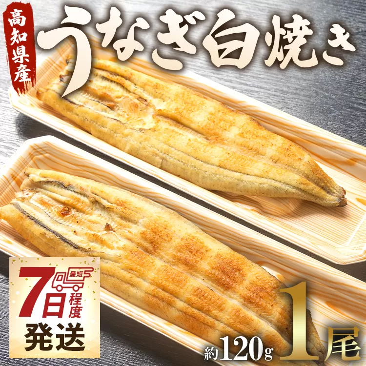 [7日程度で発送]うなぎ屋きた本 うなぎ白焼き 1尾(約120g)(無頭)- 送料無料 鰻 ウナギ 魚介 山椒塩 惣菜 おかず のし ギフト 贈答 贈り物 プレゼント 丑の日 国産 うなぎ屋きた本 高知県 香南市 冷凍 un-0008