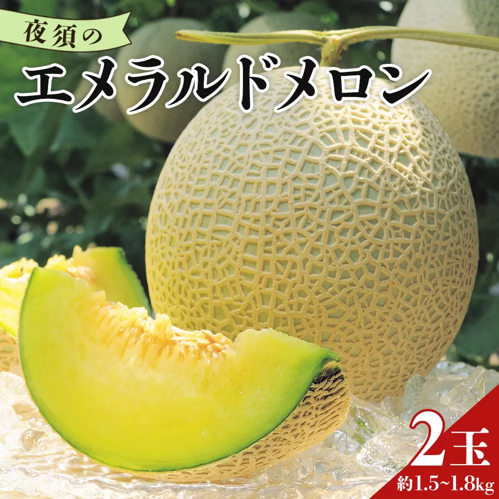 [期間限定]夜須のエメラルドメロン 2玉(1.5kg〜1.8kg×2個)- テレビ朝日「ザワつく!金曜日」で特集 紹介 送料無料 果物 くだもの フルーツ めろん 青肉 贈答用 贈り物 のし ご褒美 お礼 御礼 お祝い 御祝 ギフト 高級メロン 産地直送 高知県 香南市 yu-0025
