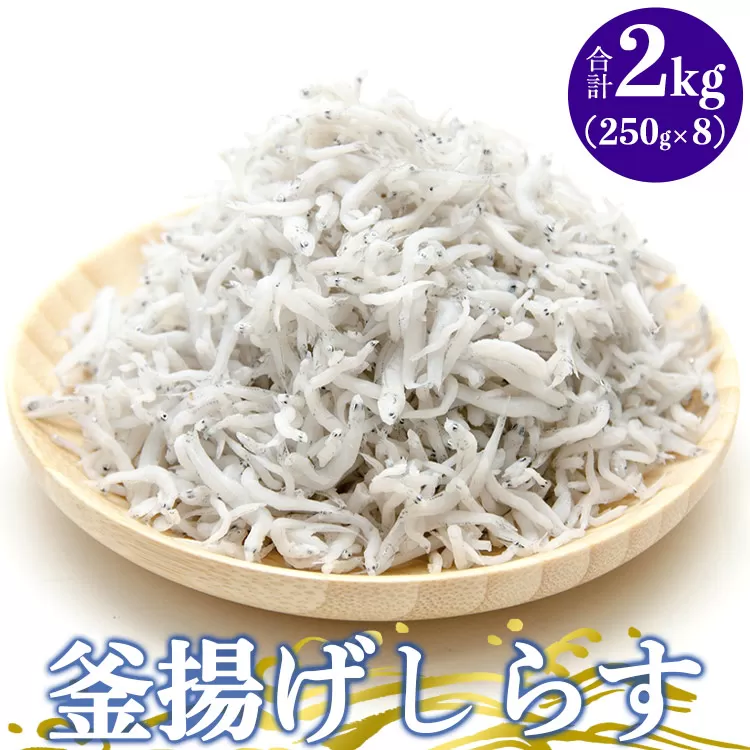 土佐名産 釜揚げしらす 合計2kg（約250g×8）- シラス じゃこ ちりめん ご飯のお供 食事 丼 おつまみ 酒の肴 魚 ギフト 贈答 贈り物 送料無料 高知県 香南市 冷凍