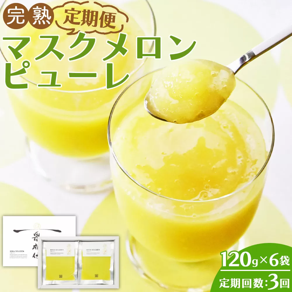 【3回定期便】完熟マスクメロンピューレ 120g×6袋 - JALファーストクラス機内食に採用 果物 くだもの フルーツ めろん 果汁100％ まるごと アイス シャーベット デザート スイーツ 篤農 高知県 香南市 冷凍 Wtn-0031