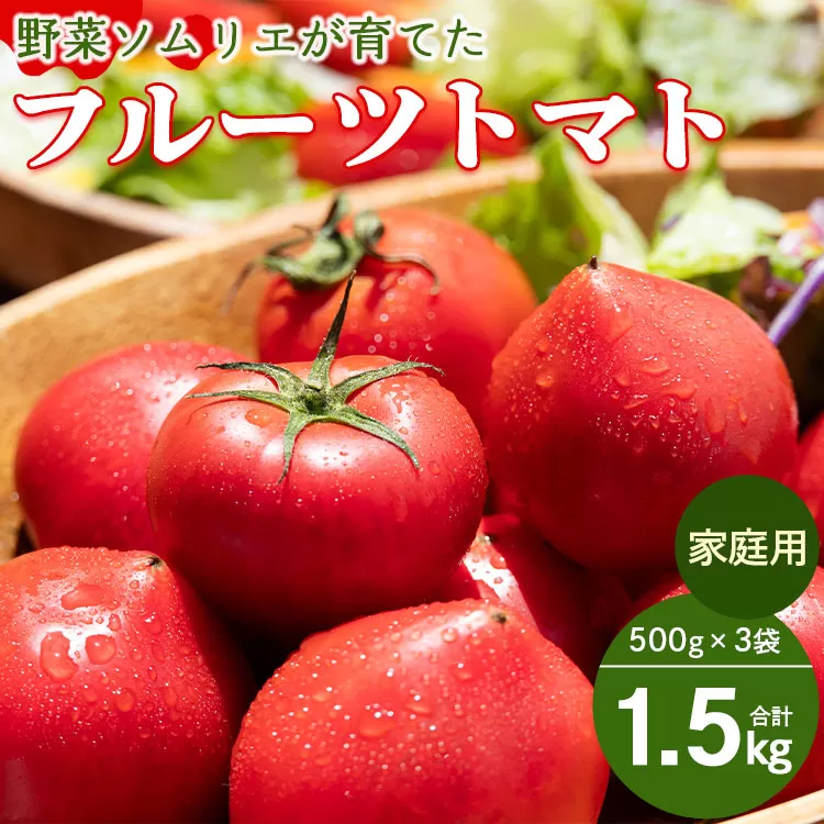 家庭用 野菜ソムリエが育てた フルーツトマト 500g×3袋 合計1.5kg - 野菜 とまと 産地直送 料理 アレンジ サラダ 完熟 甘い あまい フレッシュ さっぱり 酸味 うしの恵 小分け おいしい 国産 高知県 香南市 mj-0021