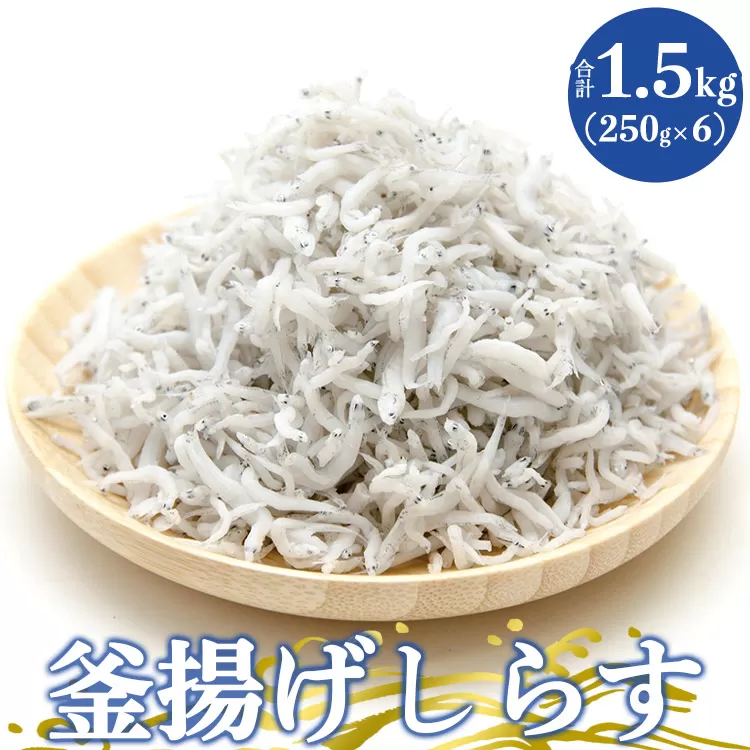土佐名産 釜揚げしらす 合計1.5kg（約250g×6）- シラス じゃこ ちりめん ご飯のお供 食事 丼 おつまみ 酒の肴 魚 ギフト 贈答 贈り物 送料無料 高知県 香南市 冷凍