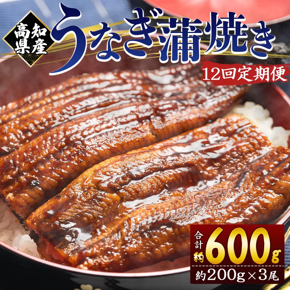 【１２回定期便】高知県産養殖うなぎ蒲焼き 約200g×３尾 うなぎ 魚介 国産 海鮮 魚 かばやき 鰻 ウナギ 惣菜 おかず お手軽 加工品 加工食品 冷凍 Wfb-0056