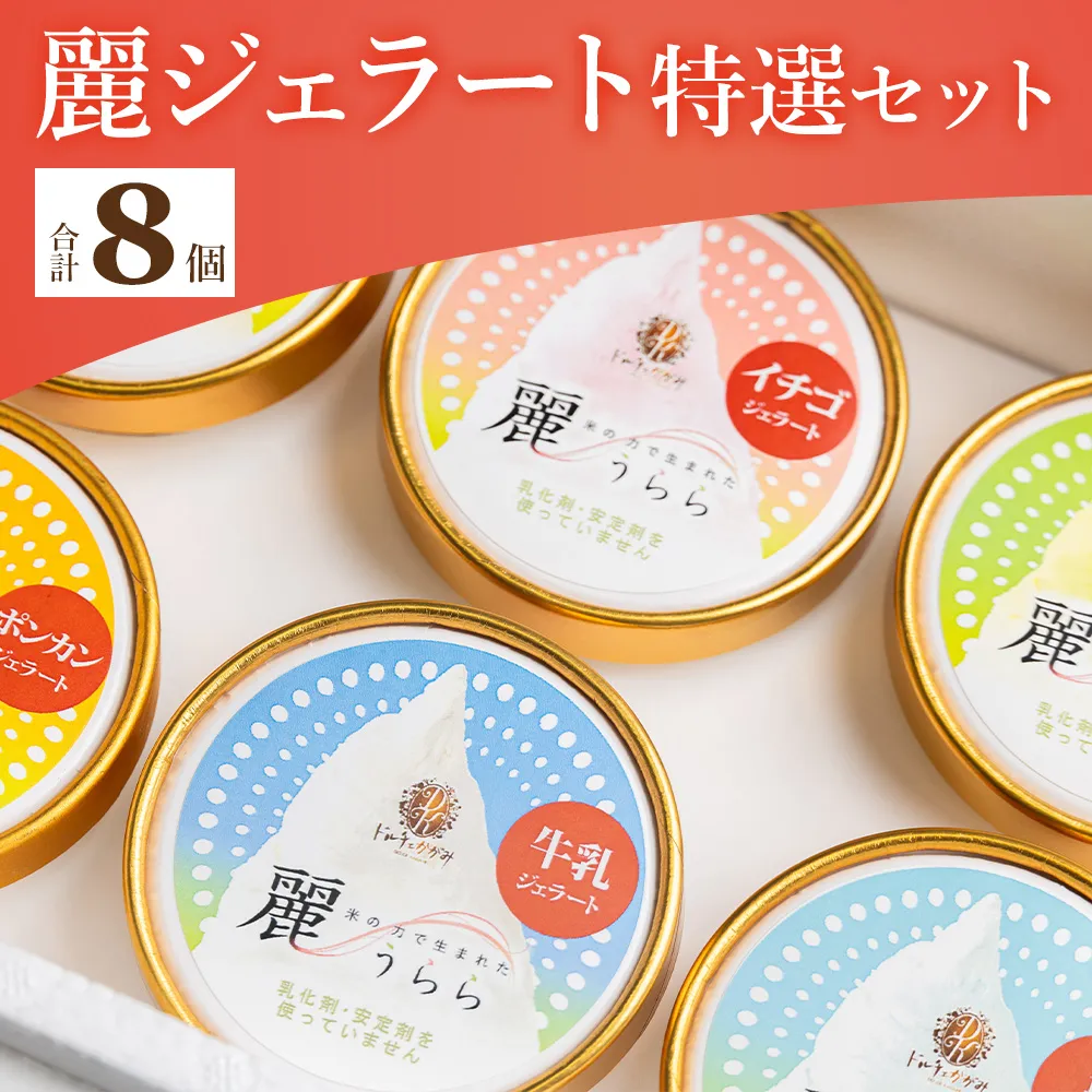 添加物不使用 麗ジェラート 特選 8個セット - アイスクリーム デザート スイーツ お菓子 洋菓子 詰合せ 詰め合わせ アソート フレーバー ギフト 贈り物 添加物不使用 ドルチェかがみ 高知県 香南市 冷凍