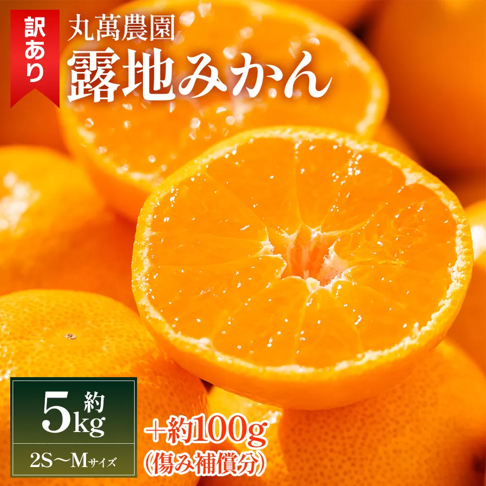 [2025年出荷分]露地みかん(2S〜Mサイズ) 5kg 家庭用 丸萬農園 - 果物 くだもの フルーツ 果実 柑橘 かんきつ 蜜柑 みかん ミカン 果汁 期間限定 訳あり 訳アリ キズ 傷 高知県 香南市 常温 mn-0004