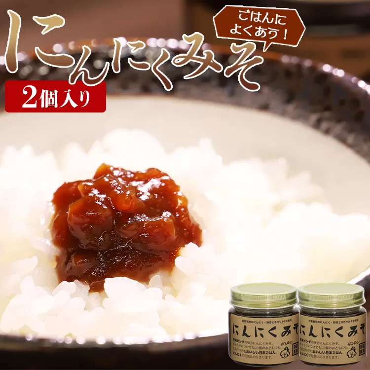 南国農家 ごはんによくあう！にんにくみそ2個入り ng-0007