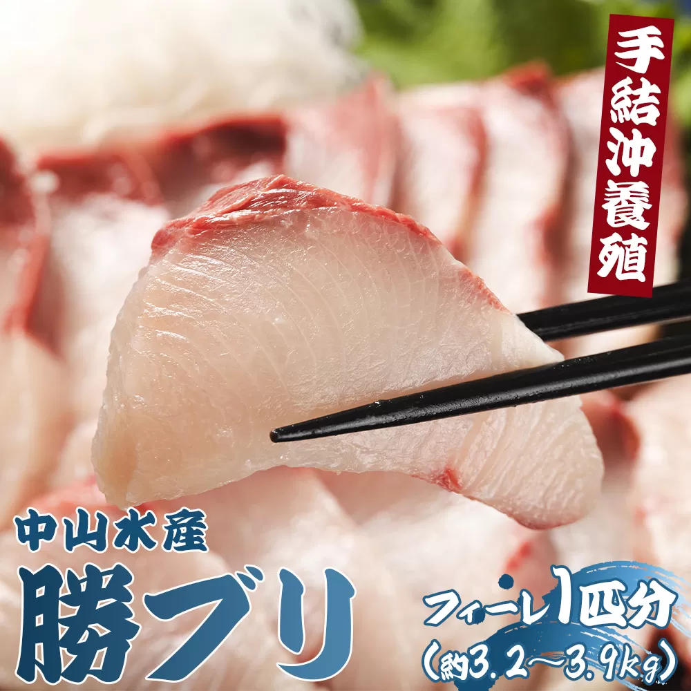 「勝ブリ」のフィーレ約3.2kg〜3.9kg 手結沖養殖 - 期間限定 魚 ぶり 鰤 寒ブリ 海鮮 鮮魚 魚介類 切り身 海の幸 ギフト お刺身 煮物 焼き魚 おかず 産地直送 高知県 香南市 ny-0011