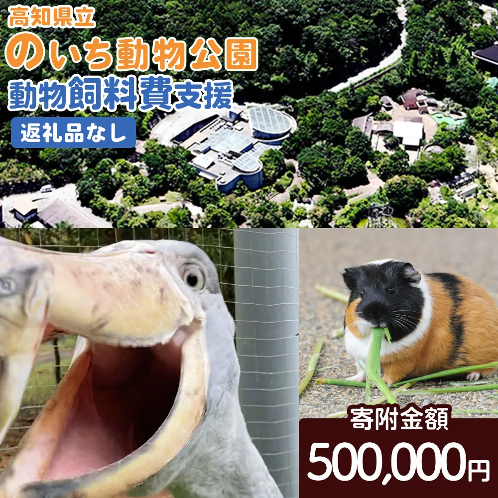高知県立のいち動物公園 動物支援(飼料費支援) 返礼品なし 500,000円 ni-0011-施設 動物園 飼育 えさ 餌 ごはん アニマル 支援寄附のみの応援受付 寄付のみ 高知県 香南市 Rni-0012