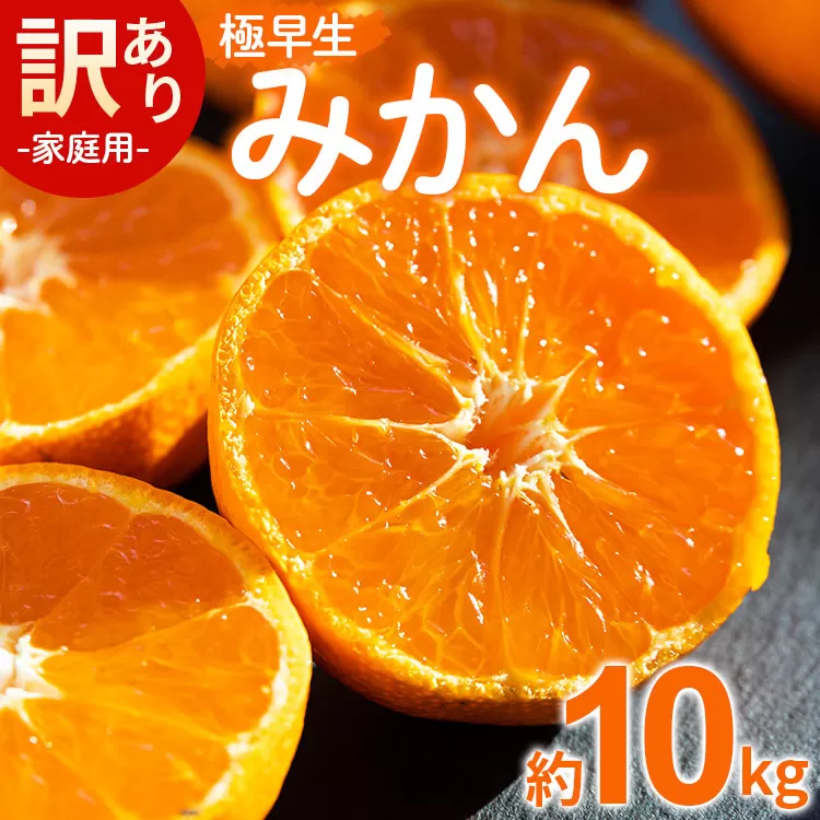 【2026年10月より順次配送】家庭用 訳あり 極早生みかん 約10kg - 送料無料 温州みかん デザート ごくわせ フルーツ くだもの 果物 蜜柑 ミカン 柑橘 ご自宅用 旬 季節 かなや農園 10キロ 柑橘類 柑橘 系 訳アリ オレンジ うんしゅう みずみずしい フレッシュ ジューシー 果汁 さわやか 爽やか わせ 早生 おとりよせ お取り寄せ 皮 傷 キズ 箱 ジャム ジュース ママレード マーマレード 酸味 糖度 おいしい 美味しい やみつき 濃厚 のうこう 国産 特産品 高知県 香南市