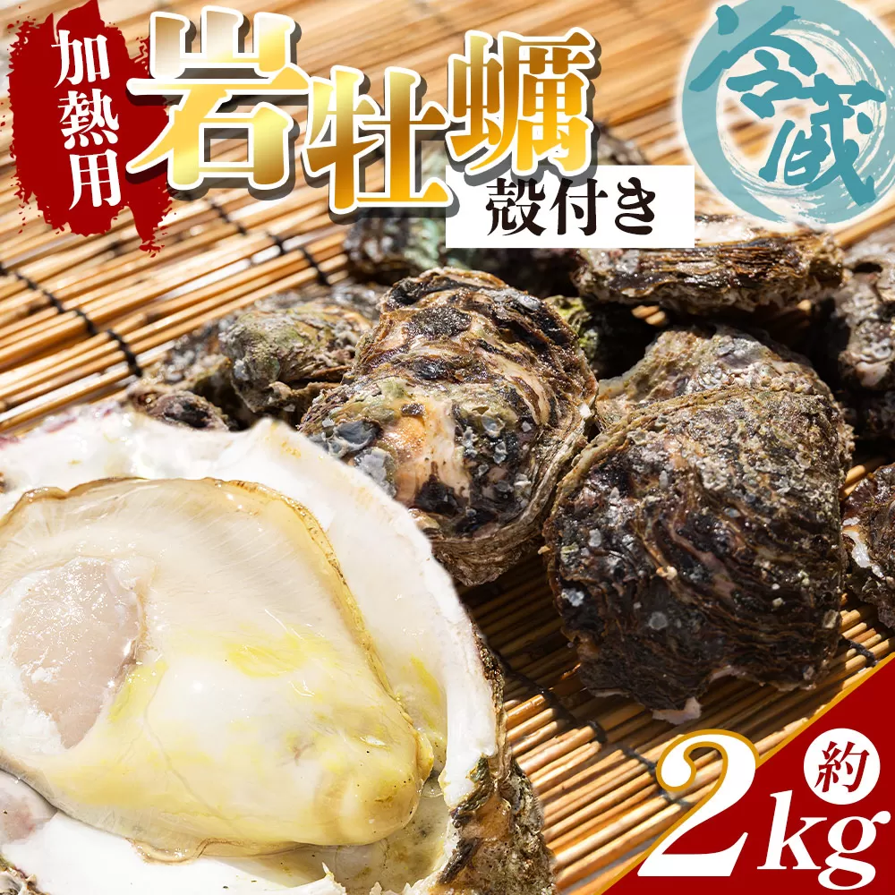 【先行受付】岩牡蠣(殻付き) 2kg 冷蔵 加熱用＜出荷期間：2026年5月～10月＞国産 カキ かき 牡蠣 魚介 海鮮 貝類 殻つき 天然 産地直送 肉厚 フライ 焼き牡蠣 海の幸 えび蔵 高知県 香南市 冷蔵 eb-0034