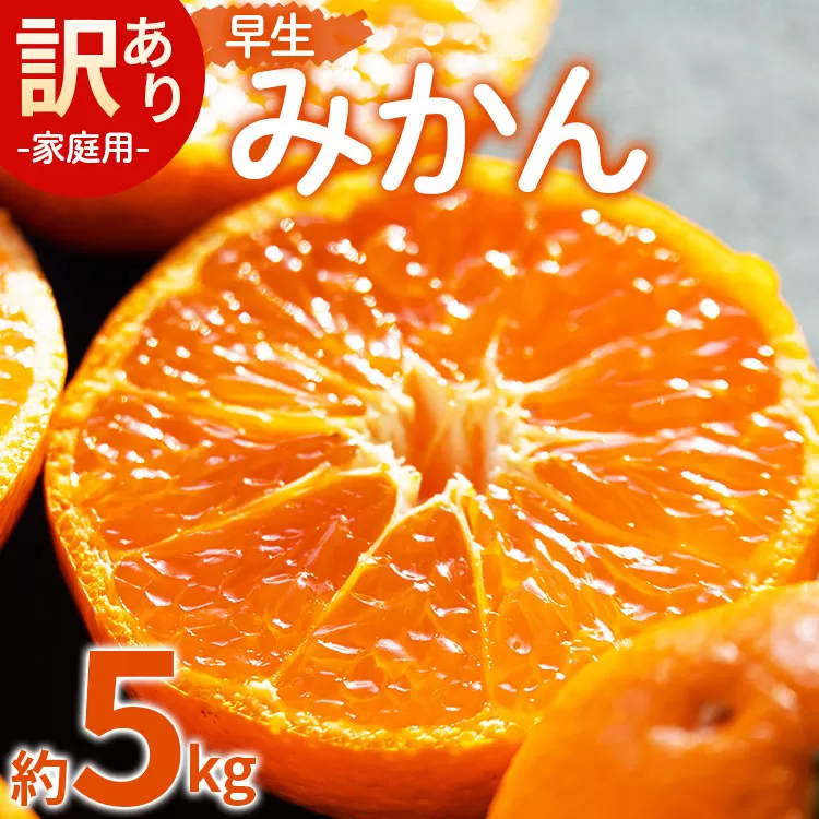 【2026年11月より順次配送】【数量限定】家庭用 訳あり 早生みかん 約5kg - 送料無料 フルーツ 果物 果実 温州みかん ミカン 柑橘 甘い あまい おいしい ご自宅用 旬 季節限定 かなや農園 合同会社Benifare 国産 特産品 5キロ 柑橘類 柑橘 系 オレンジ うんしゅう 蜜柑 みずみずしい フレッシュ ジューシー 果汁 爽やか さわやか わせ お取り寄せ おとりよせ 皮 傷 キズ 箱 ジャム ジュース ママレード マーマレード 酸味 美味しい 高知県 香南市 常温