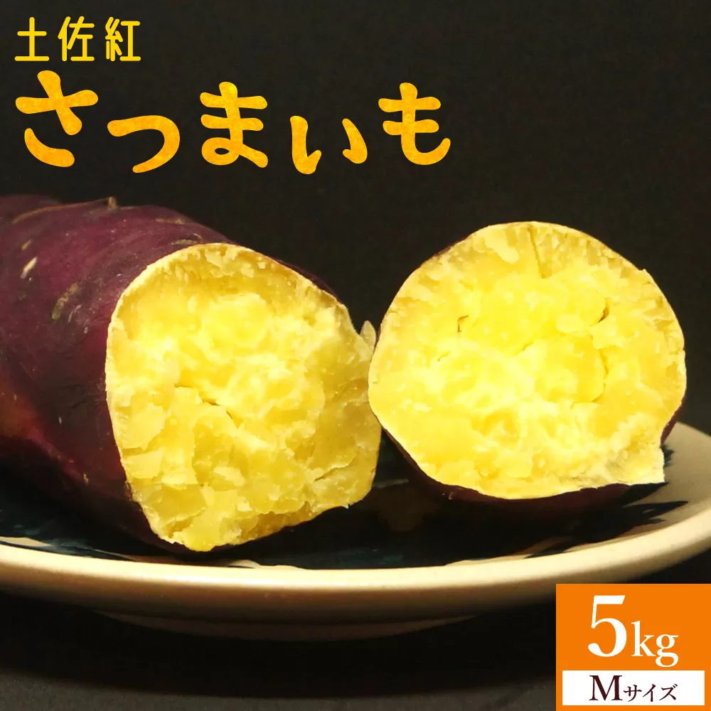 【2026年発送分】さつまいも(土佐紅) Mサイズ 5kg- サツマイモ さつま芋 野菜 焼き芋 やきいも 焼いも 蒸し芋 おやつ スイーツ スイートポテト 国産 アスタ農園 高知県 香南市【常温】 at-0050