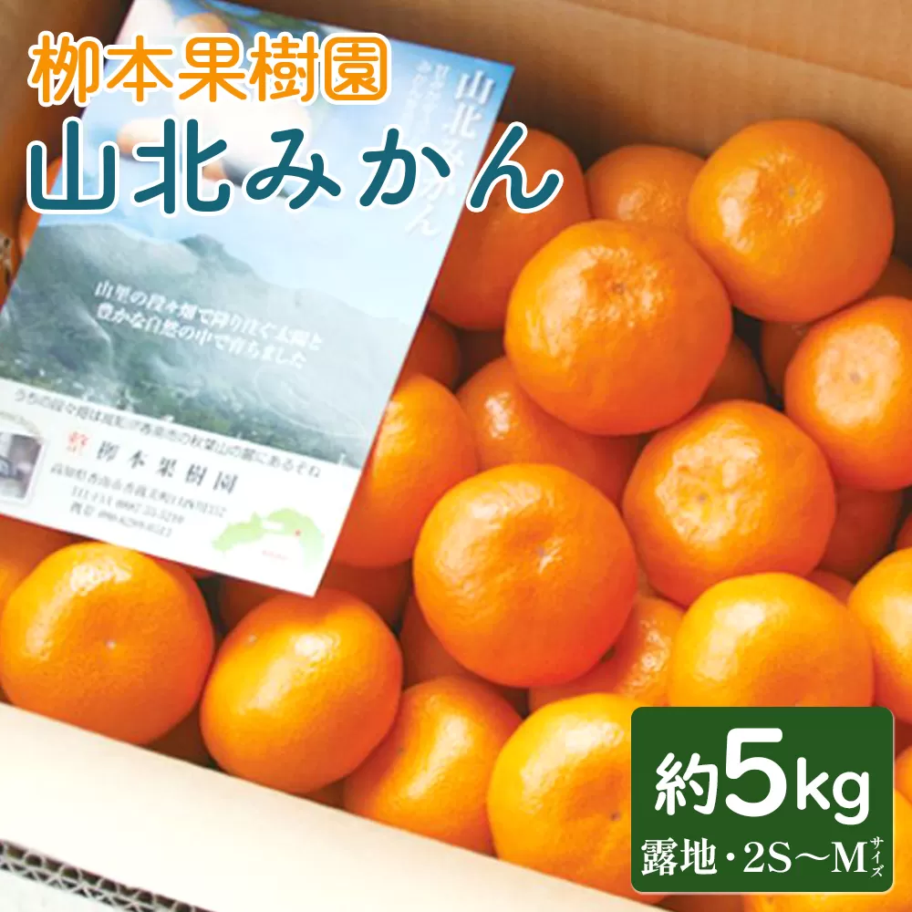 柳本果樹園の山北みかん 5kg(露地・2S〜M) - 果物 フルーツ 柑橘類 温州みかん ミカン 蜜柑 甘い おいしい 送料無料 のし 贈り物 期間限定 季節限定 数量限定 高知県 香南市 yg-0011