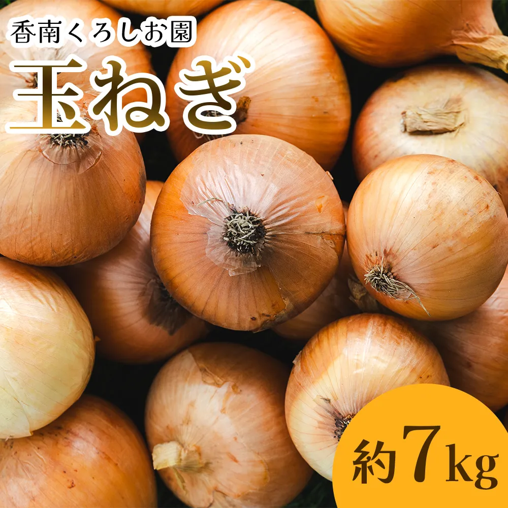 玉ねぎ 約7kg（大小混合・家庭用）- 香南市産 国産 たまねぎ タマネギ 玉葱 野菜 オニオンスープ ハンバーグ 常備野菜 保存野菜 香南くろしお園 高知県 香南市 ke-0037