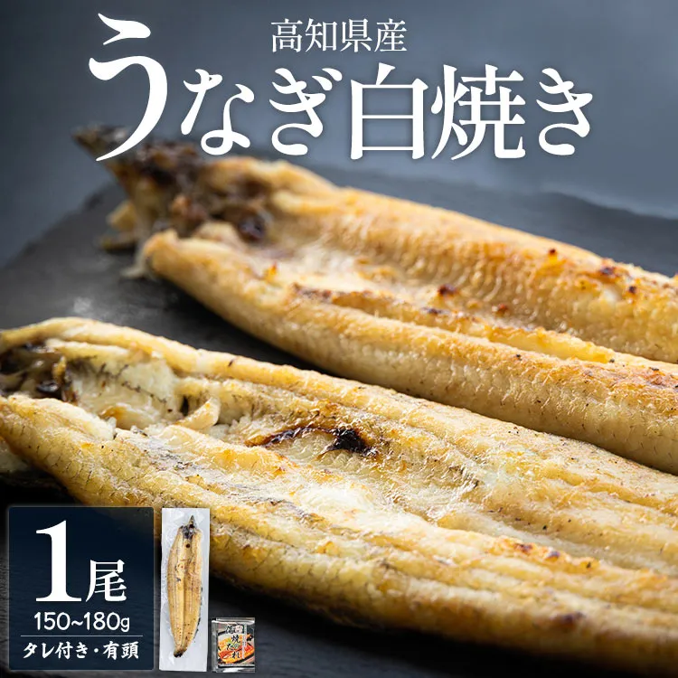 高知県産うなぎの白焼き 150〜180g×1尾 - エコ包装 国産 うなぎ 白焼き 鰻 冷凍 高知 yw-0113