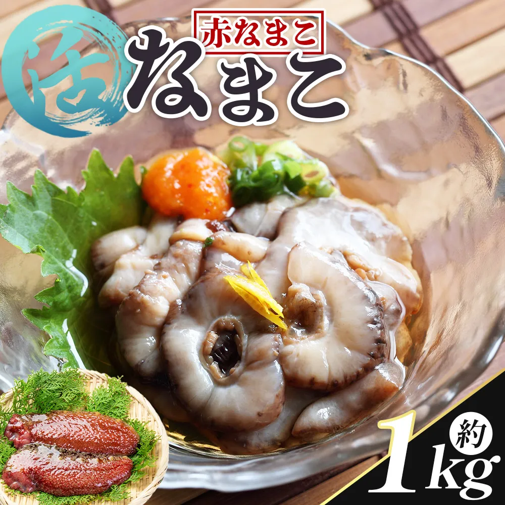 活ナマコ 1kg 赤ナマコ - 国産 産地直送 赤なまこ なまこ ナマコ 海鼠 海産物 海鮮 魚介類 刺身 刺し身 炒め物 塩辛 このわた えび蔵 高知県 香南市 冷蔵 eb-0050