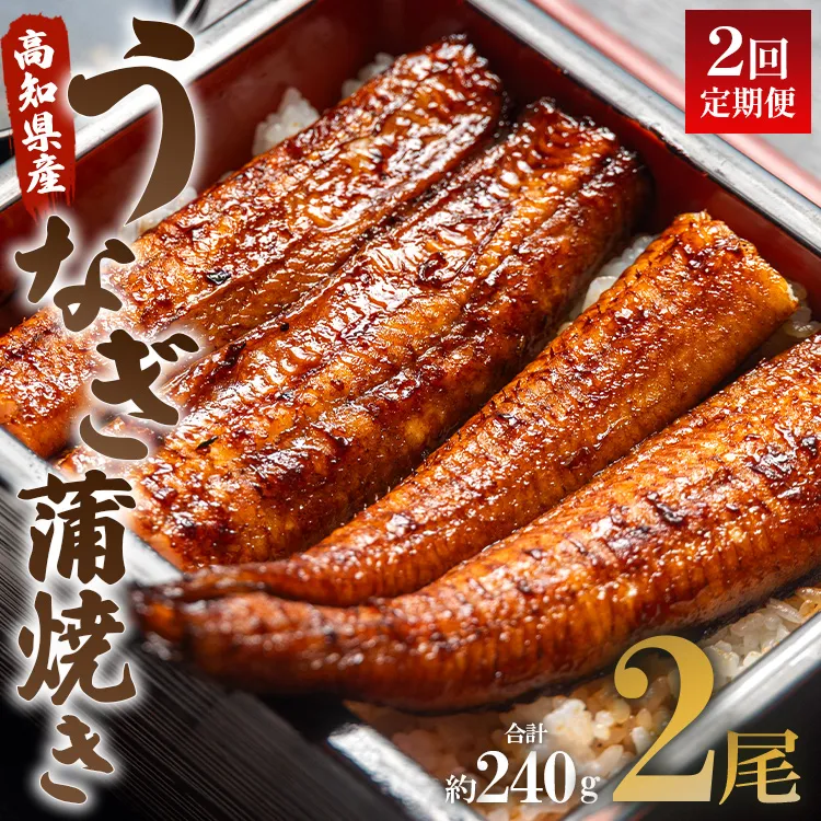 うなぎ 定期便 2回 うなぎ蒲焼き120g 2尾(無頭) 魚介 国産 海鮮 魚 かばやき 鰻 ウナギ 惣菜 おかず お手軽 加工品 加工食品 冷凍 Wun-0069