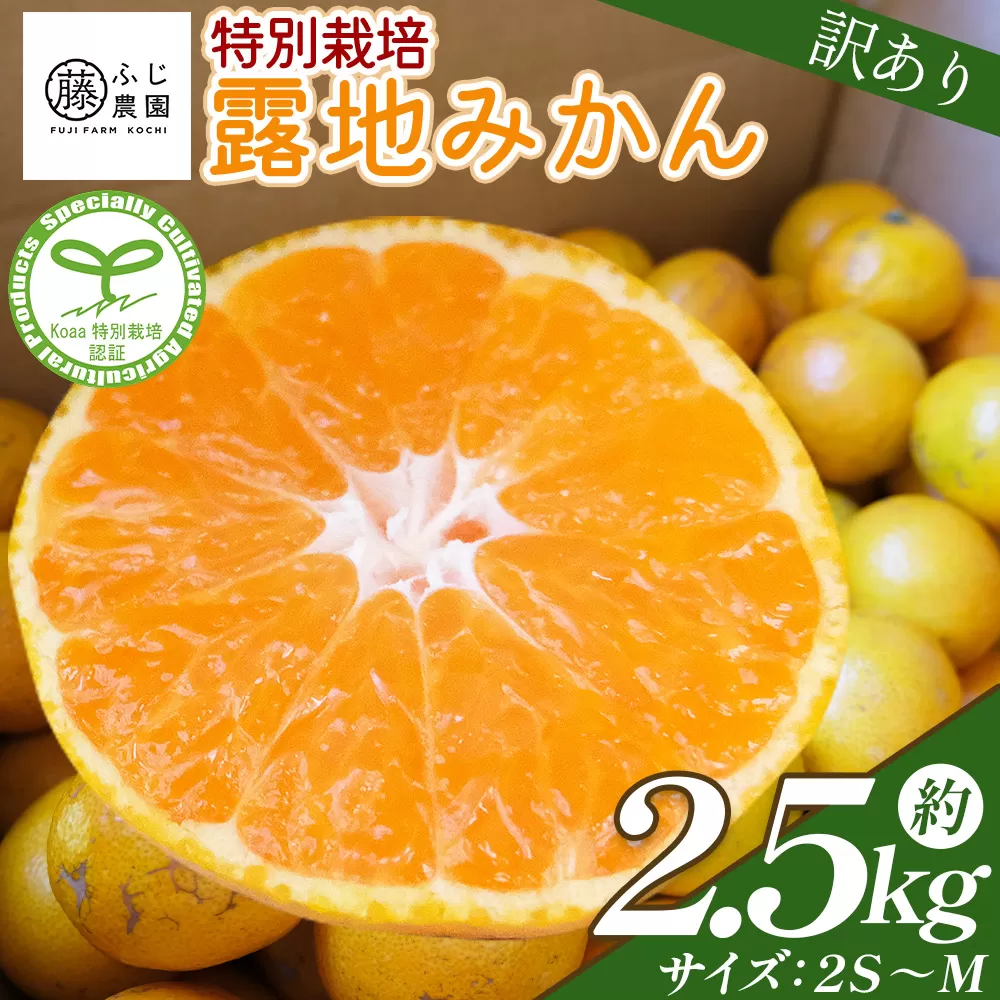 ふじ農園の露地みかん 訳あり品 2.5kg (2S〜M) - 国産 蜜柑 ミカン 柑橘 果物 フルーツ 訳アリ ご家庭用 家庭用 自宅用 ふじ農園 高知県 香南市 常温 fn-0004
