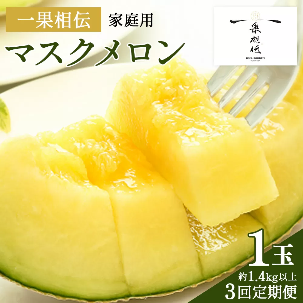 【３回定期便】一果相伝マスクメロン 家庭用 1玉入り- めろん 青肉 自宅用 ジューシー 果汁 至福 美味しい 甘い あまい 篤農 産地直送 高知県 香南市 常温 Wtn-0038