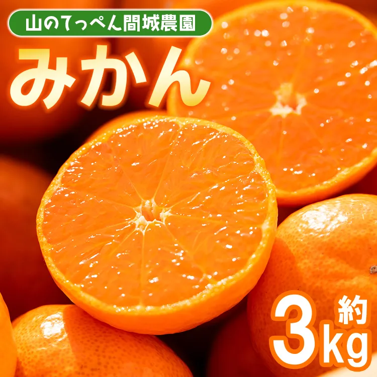 【数量限定】山のてっぺん 間城農園 みかん 約3kg - 送料無料 温州みかん ミカン 蜜柑 フルーツ 柑橘 果物 くだもの 甘い あまい おいしい 期間限定 配送日指定不可 高知県 香南市【常温】ms-0083