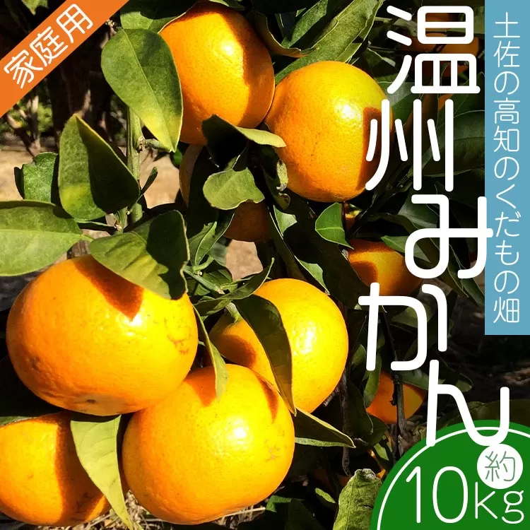 【先行予約】土佐の高知のくだもの畑 みかん(家庭用)10kg(5kg箱×2) - 温州みかん ミカン 訳アリ わけあり 蜜柑 ミカン 柑橘 柑橘類 フルーツ 果物 くだもの ご家庭用 ご自宅 美味しい おいしい 高知県 香南市